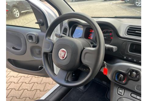 Fiat New Panda #24