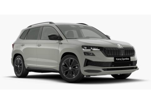 Skoda Karoq #1