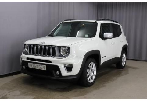 Jeep Renegade #1