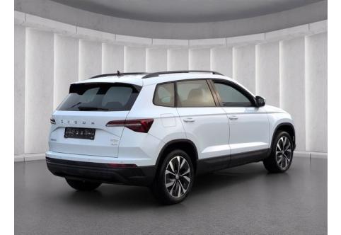 Skoda Karoq #3