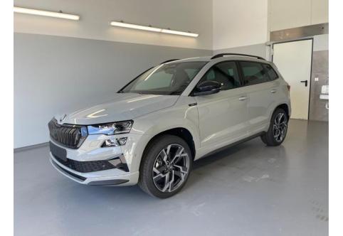 Skoda Karoq #1