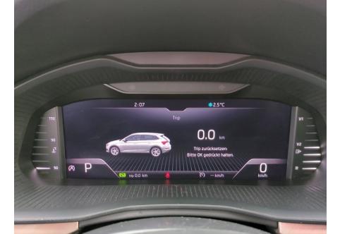 Skoda Scala #18