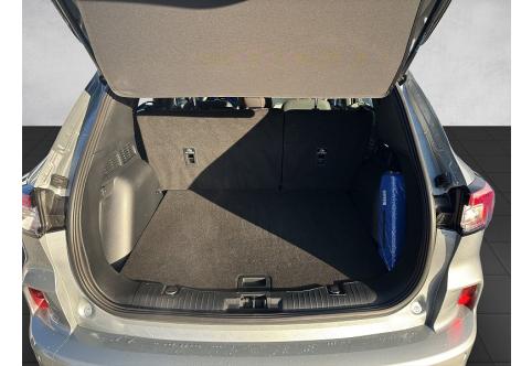 Ford Kuga #10
