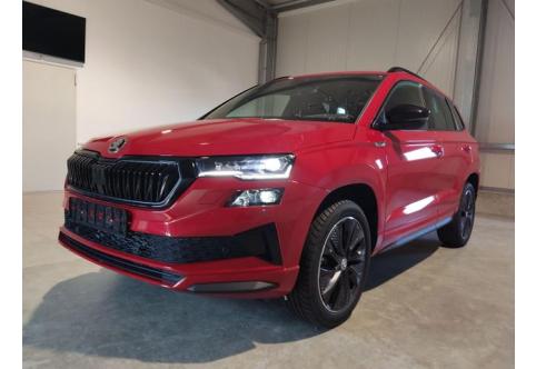 Skoda Karoq #1