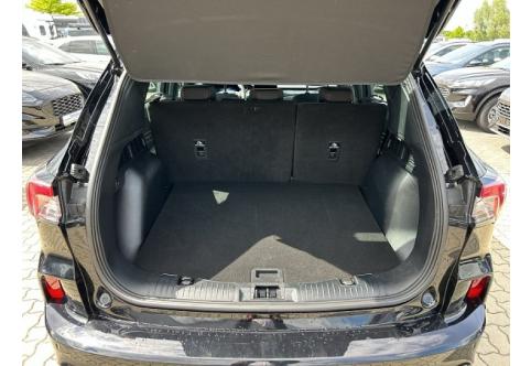 Ford Kuga #9