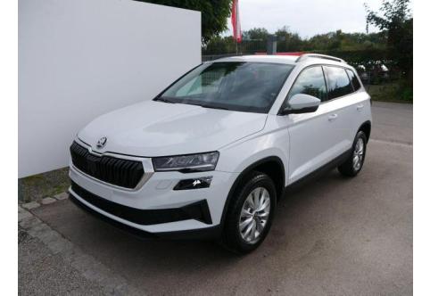 Skoda Karoq #1