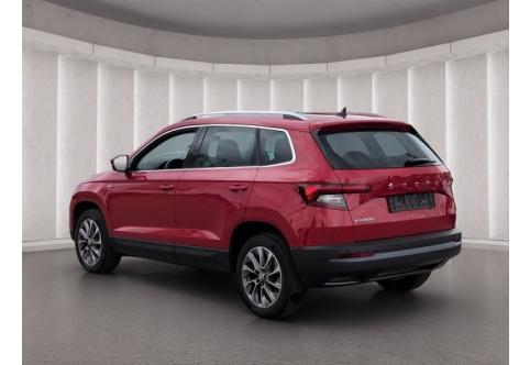 Skoda Karoq #20