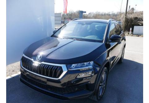 Skoda Karoq #1