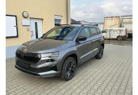 Skoda Karoq #1