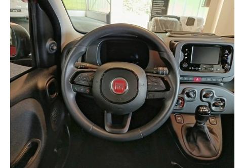 Fiat Panda #15