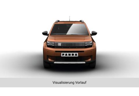 Fiat Panda #1