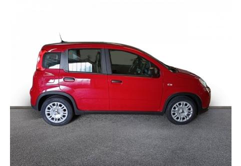 Fiat Panda #7