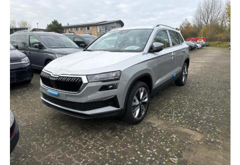 Skoda Karoq #1