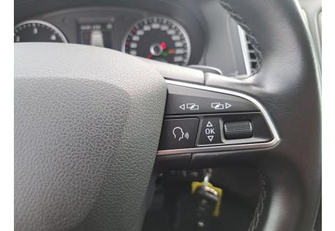 Seat Alhambra #20