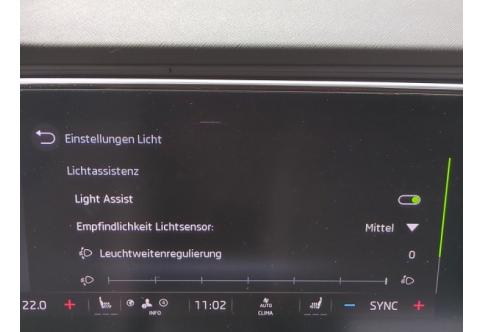 Skoda Octavia #14