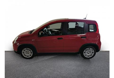 Fiat Panda #2