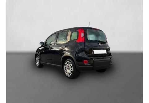 Fiat Panda #2