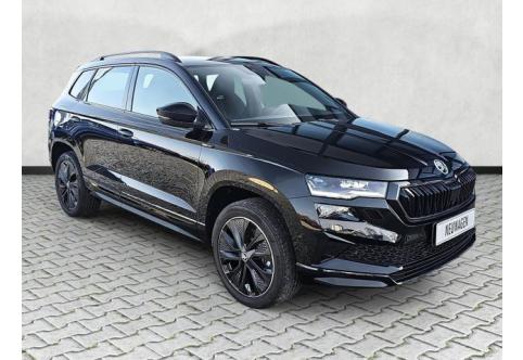 Skoda Karoq #1