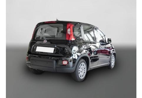 Fiat Panda #2