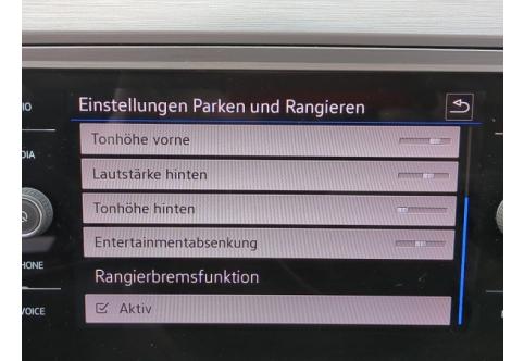VW Passat #15