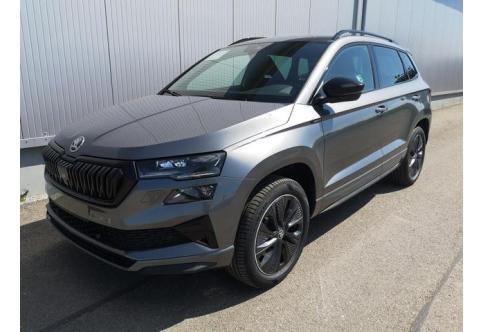 Skoda Karoq #1