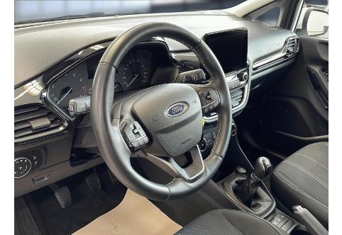 Ford Fiesta #10