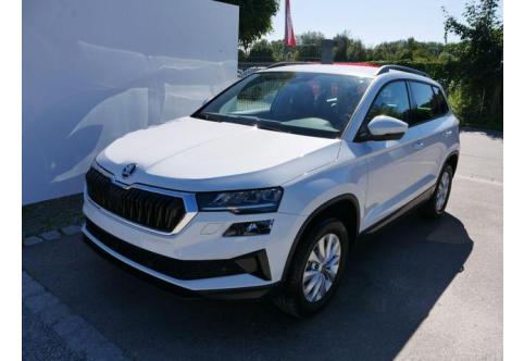 Skoda Karoq #1