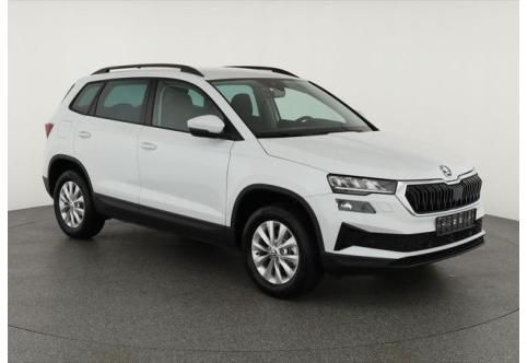 Skoda Karoq #1