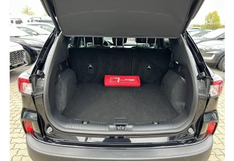 Ford Kuga #9