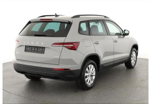 Skoda Karoq #1