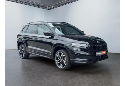 Skoda Karoq #1