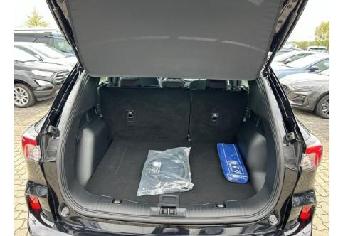 Ford Kuga #9
