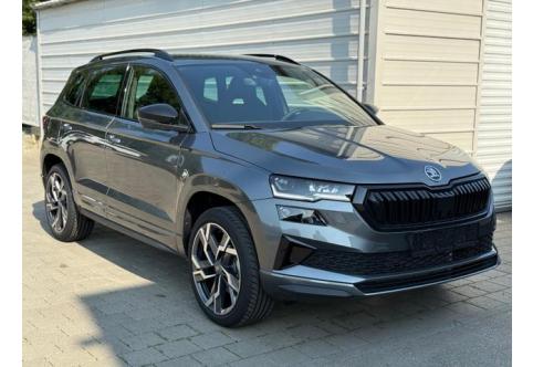Skoda Karoq #1