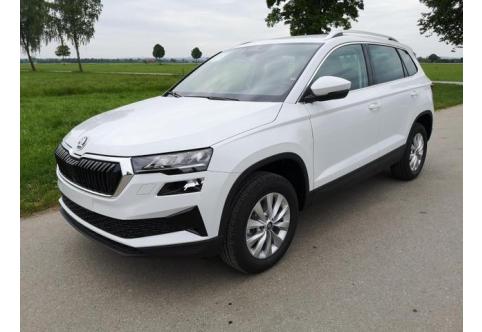 Skoda Karoq #1