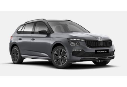 Skoda Kamiq #1