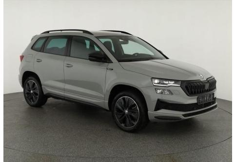 Skoda Karoq #1