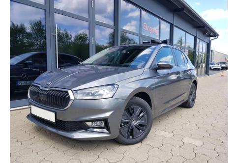 Skoda Fabia #2