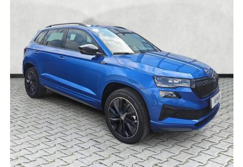 Skoda Karoq #1
