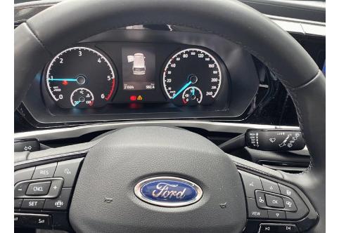 Ford Tourneo #2
