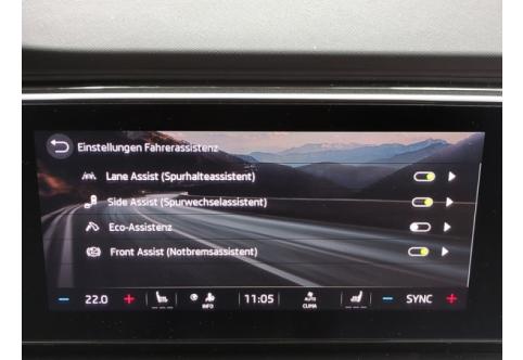 Skoda Octavia #17