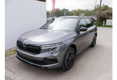 Skoda Kamiq #1