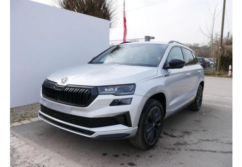 Skoda Karoq #1