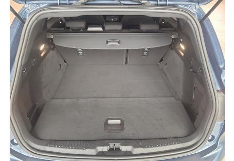 Ford Focus #11