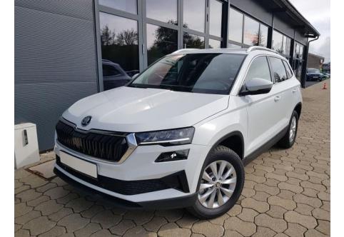 Skoda Karoq #1