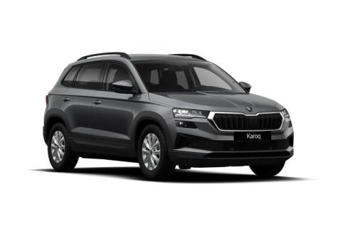 Skoda Karoq #1