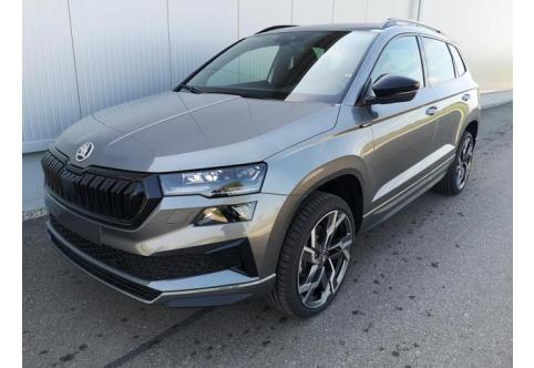 Skoda Karoq #1