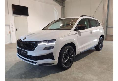 Skoda Karoq #1