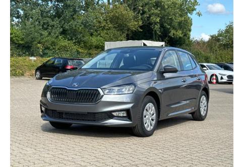 Skoda Fabia #1