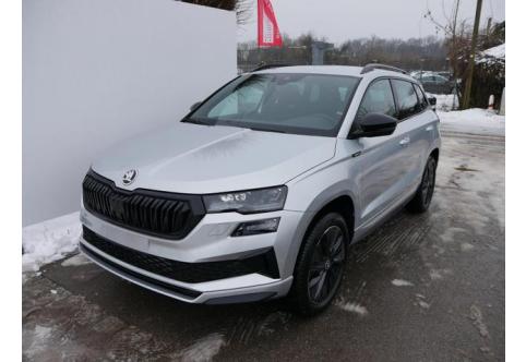Skoda Karoq #1