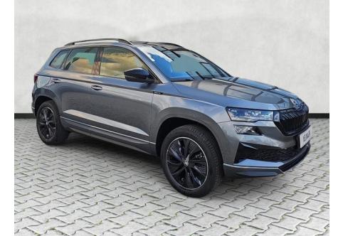 Skoda Karoq #1